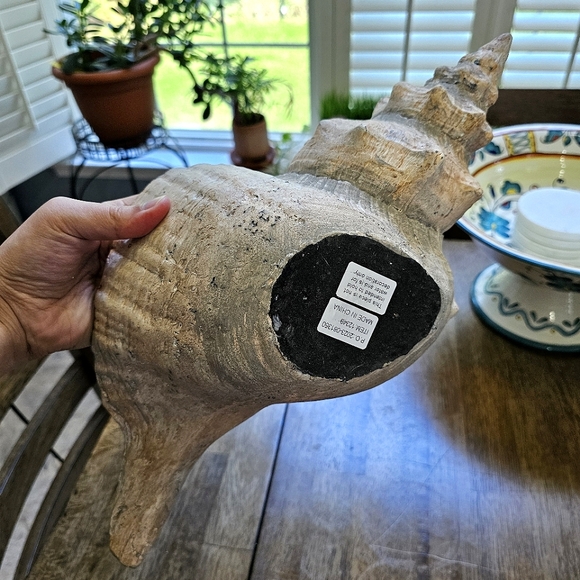 Horse Conch Seashell Decor Bowl - Picture 7 of 10